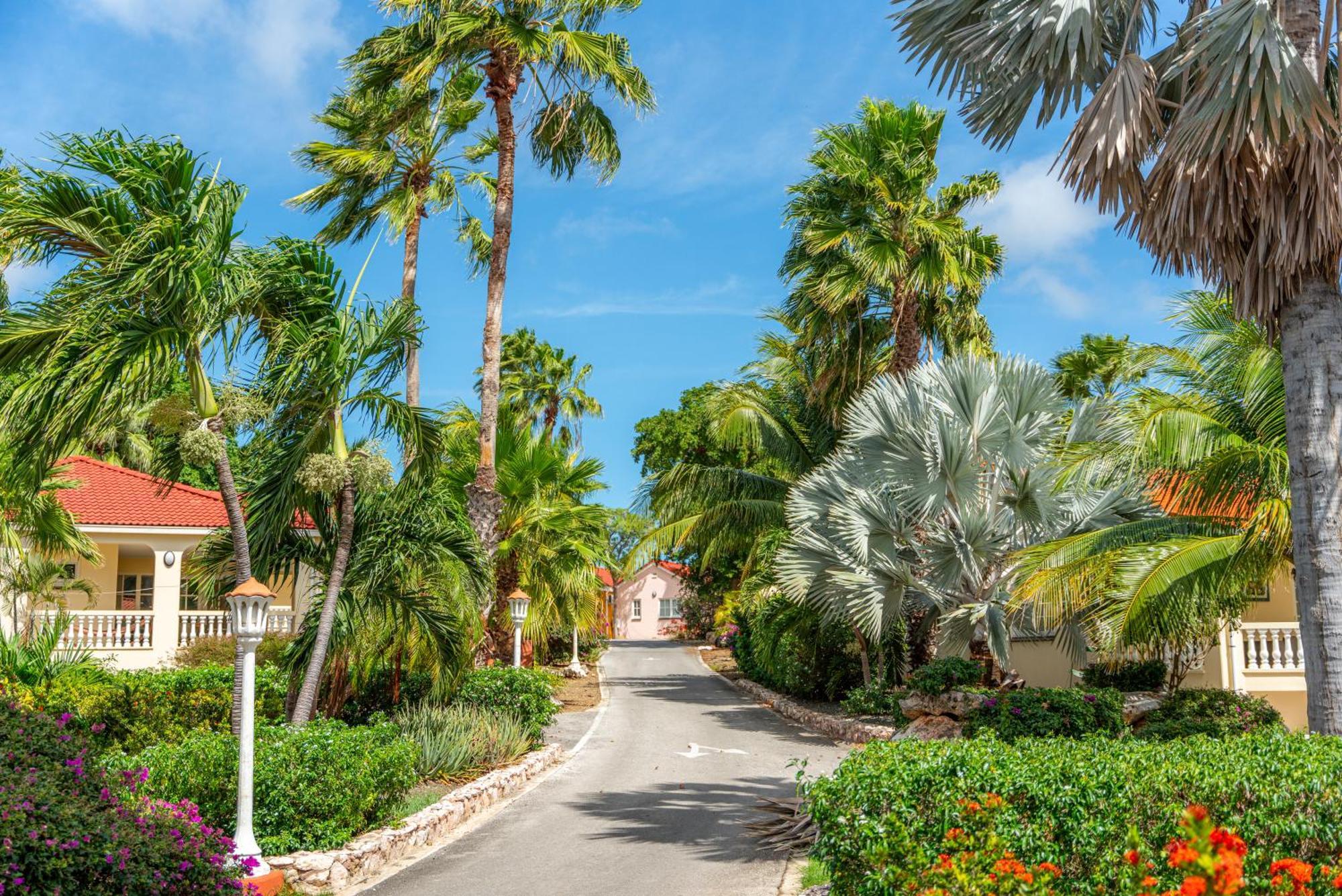 וילמסטאד Livingstone Jan Thiel Resort מראה חיצוני תמונה