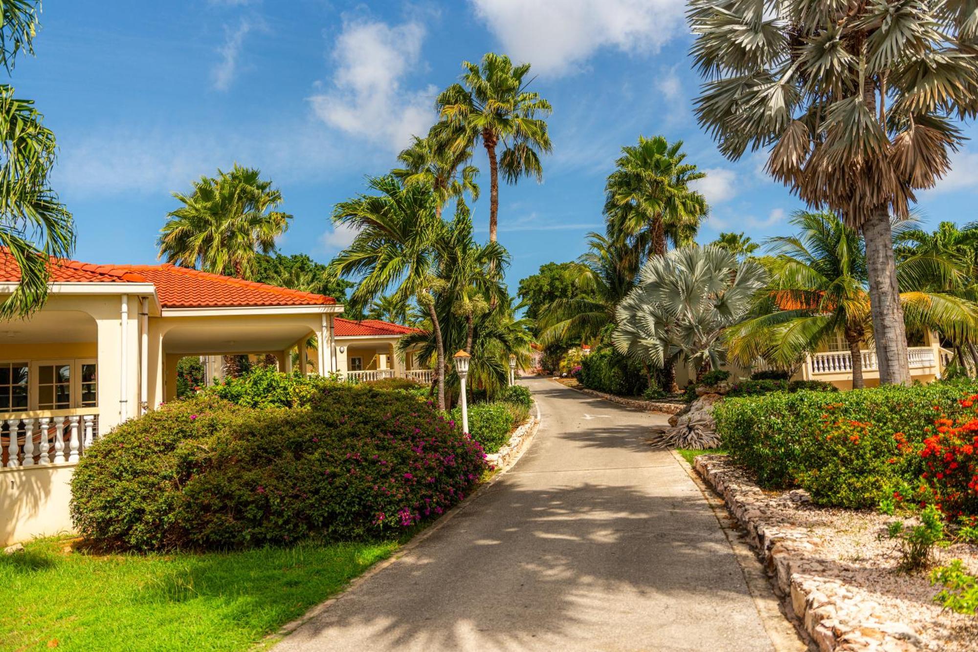 וילמסטאד Livingstone Jan Thiel Resort מראה חיצוני תמונה
